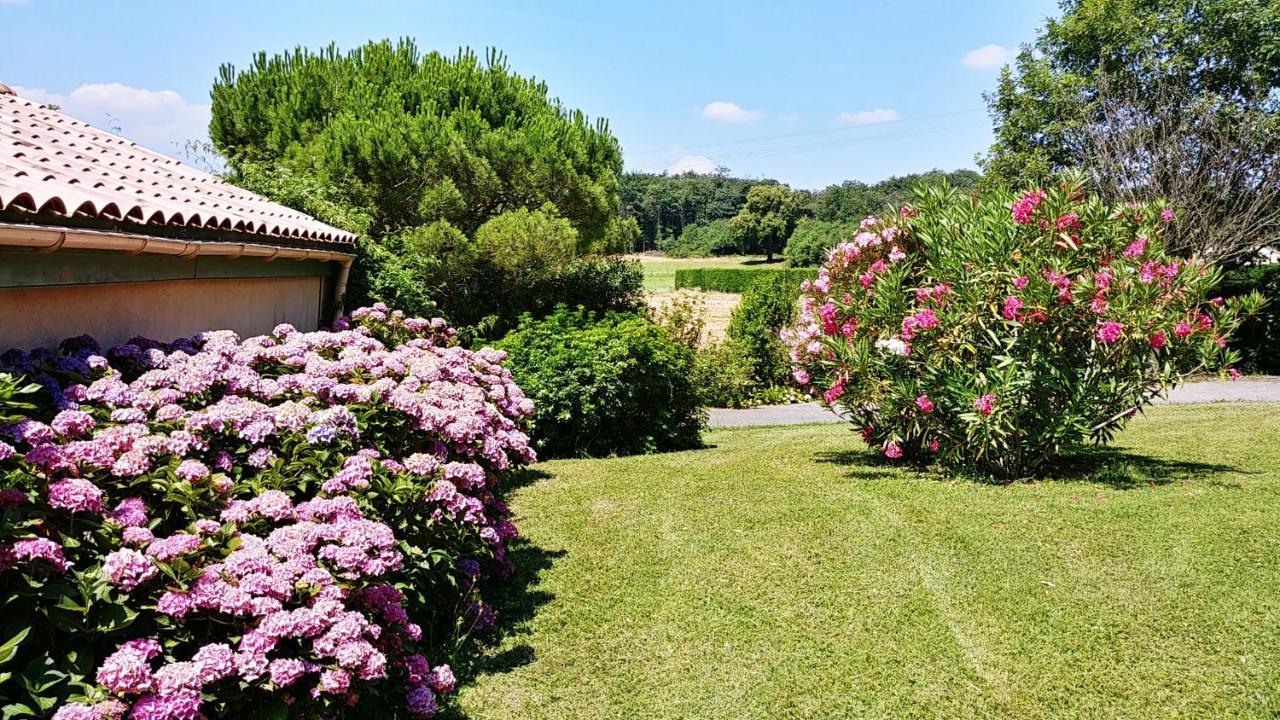 Le Prieure Villa La Motte-de-Galaure Ngoại thất bức ảnh