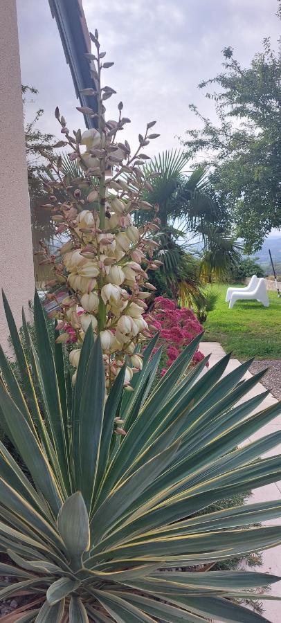 Le Prieure Villa La Motte-de-Galaure Ngoại thất bức ảnh